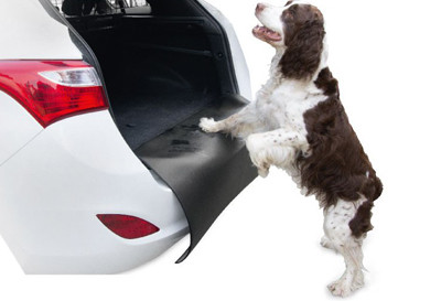 La protection du pare-chocs BARRY