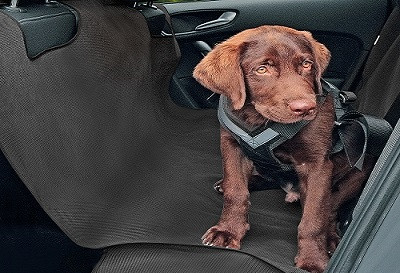 Tapis de voiture pour le chien ALEX, XL